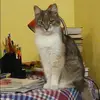 Отзыв от Пелагея Жилина